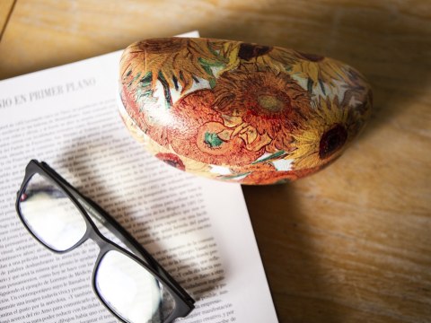 Etui na okulary - V. van Gogh, Słoneczniki (CARMANI)
